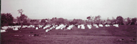 Panoranic view