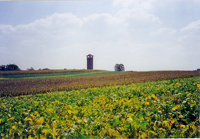 The observation tower