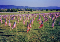 3,000 flags