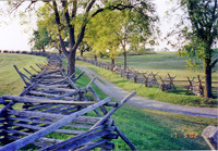 The Sunken Road