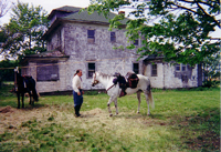 Picket of the 10th NY Cavalry