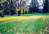 The National Cemetery