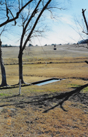 Reflecting Pool 