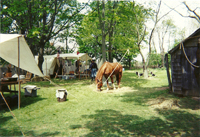 Cavalry Camp