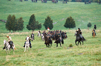 Confederate Cavalry