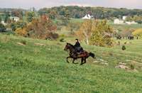 One lone rider