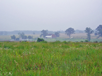 Tramping through the fields