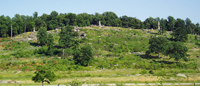 Little Round Top