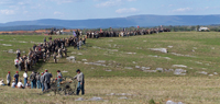 Confederate battalions in view