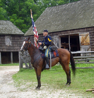 Sgt. Tom Strong