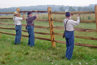 repair the fence