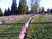 The New York State graves