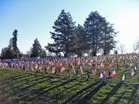 The 125th NY