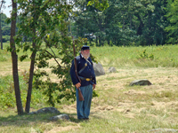 guarding vigilantly from the shade