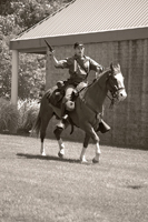 At the fullest gallop