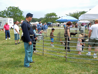 at the petting zoo