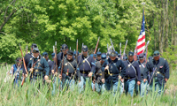 Marching through the tall grass