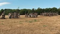 Confederates march onto the field