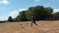 a messenger sprints across the field