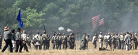 pinned back against the tree line