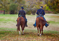 Cavarly scouts