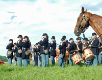 The Horse Band