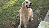 Finnegan Smallwood