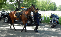 Riderless Horse