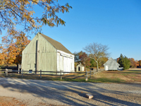 Our still (barely) standing barn