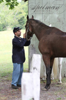 the Horse Whisperer