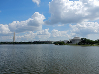 The Tidal Basin