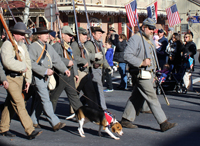 Confederate Canine