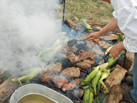 beef and corn