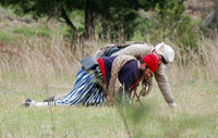 Carrying the wounded