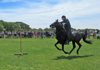 Commander Frank Bradford in action