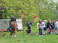 equipment for the equines