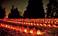 Remembrance Day Illuminations