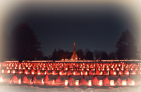 Remembrance Day Illuminations