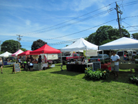 The Farmer's Market