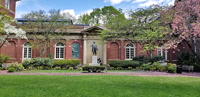 Spring Glory in the courtyard