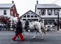 A riderless horse