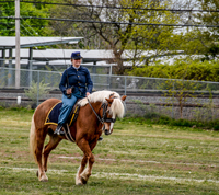 Melanie of the 10th NY Cavalry