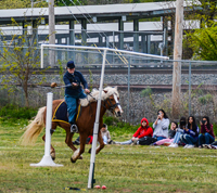 Cavalry saber