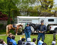 the 10th NY Cavalry