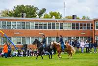 cavalry demonstration