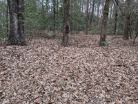 The actual real trenches