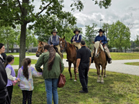 Teddy Roosevelt's Rough Riders