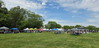Farmer's Market