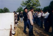Lining Up